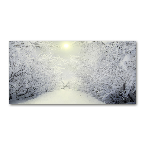 Print on acrylic A beautiful forest in winter