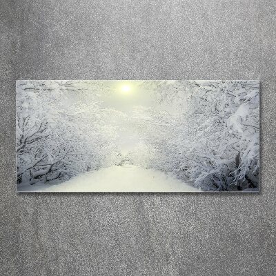 Print on acrylic A beautiful forest in winter