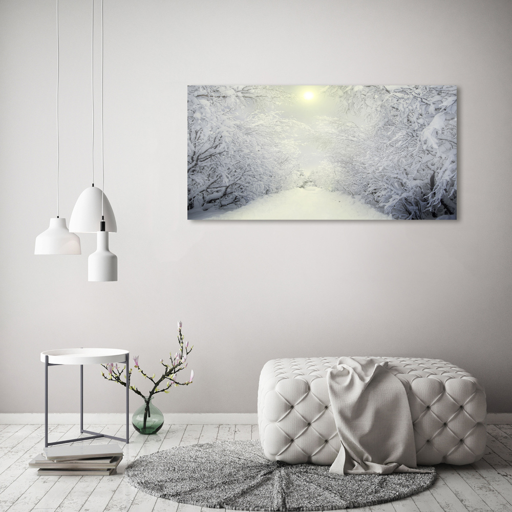 Print on acrylic A beautiful forest in winter