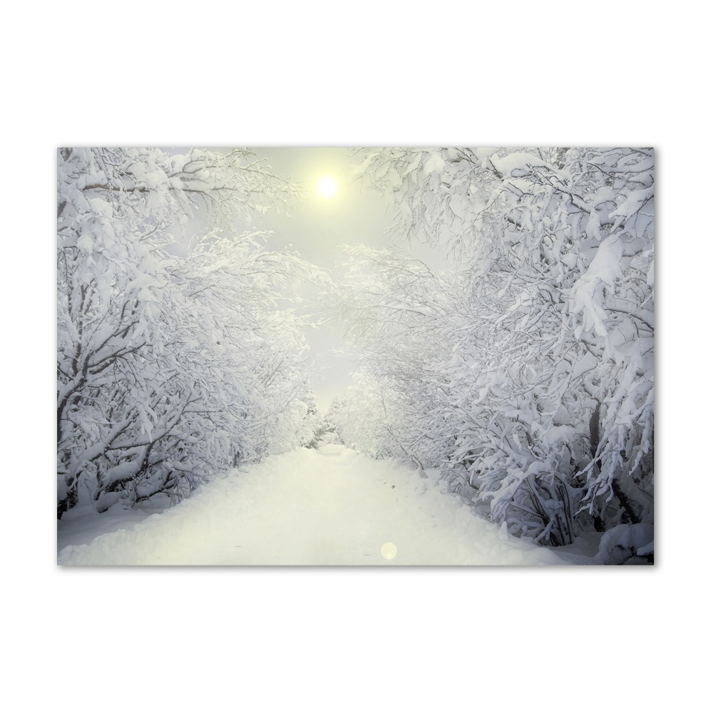 Print on acrylic A beautiful forest in winter