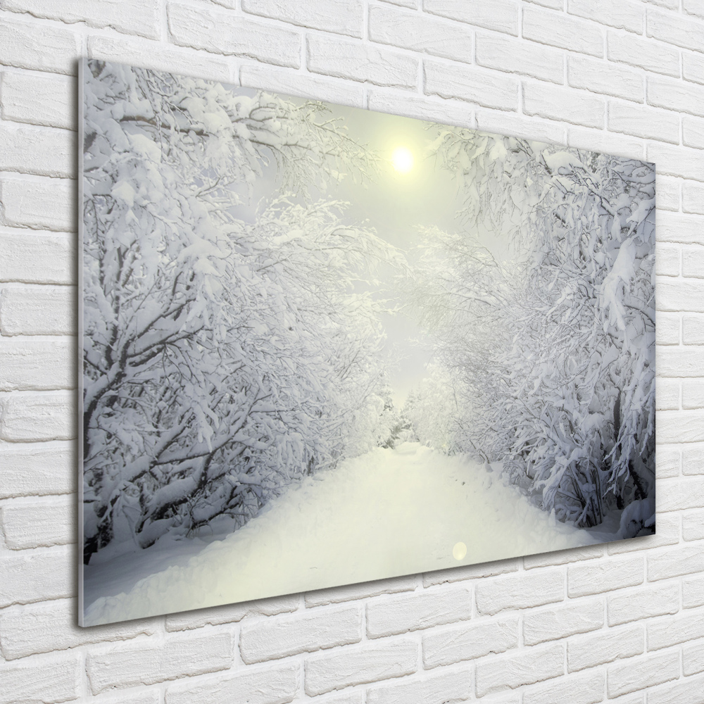 Print on acrylic A beautiful forest in winter