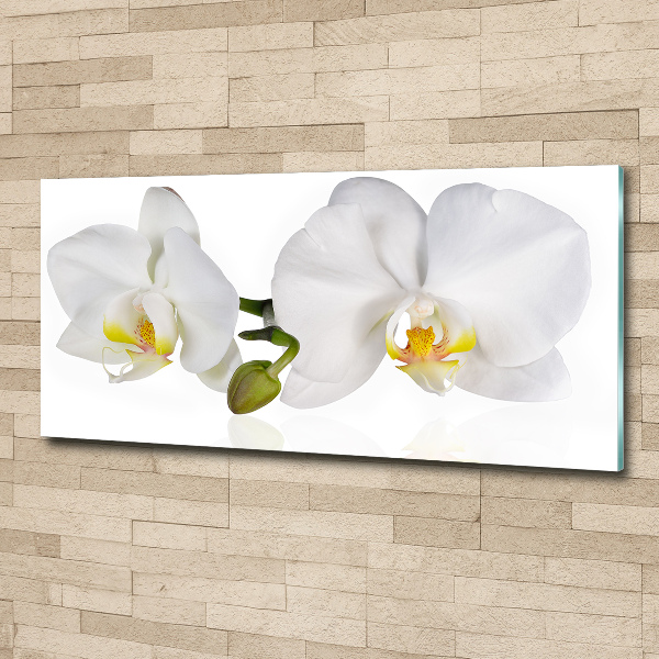 Acrylic wall art Orchid