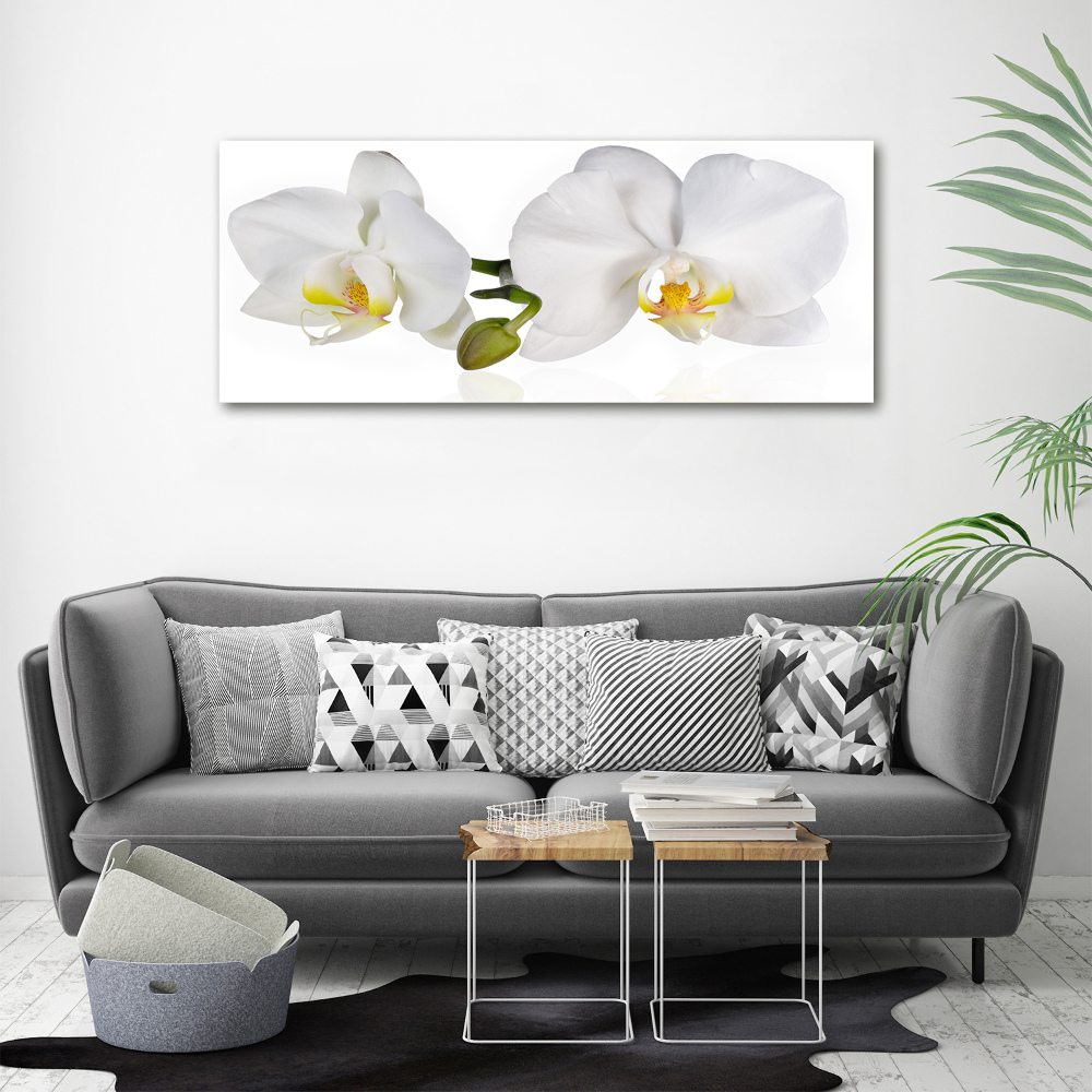 Acrylic wall art Orchid