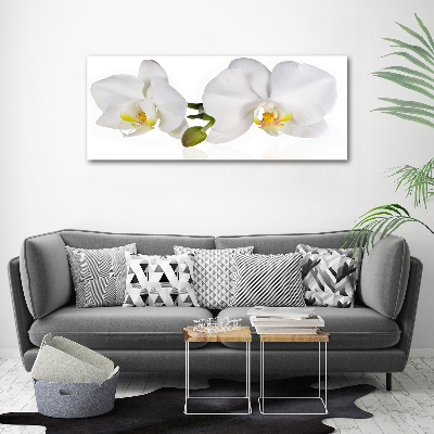 Acrylic wall art Orchid