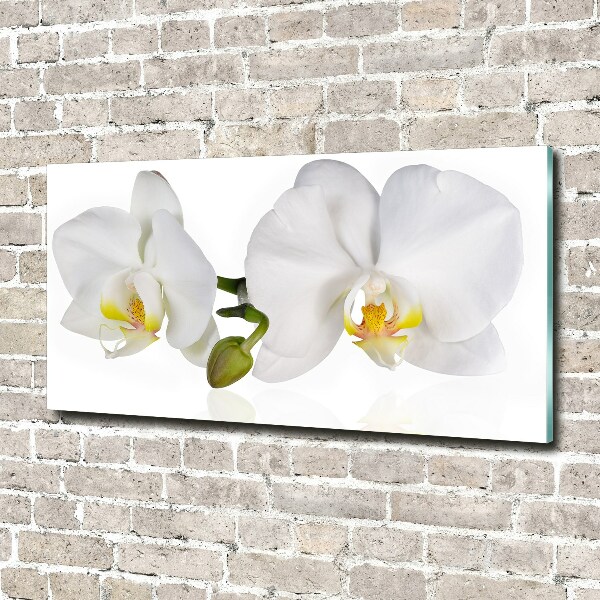 Acrylic wall art Orchid