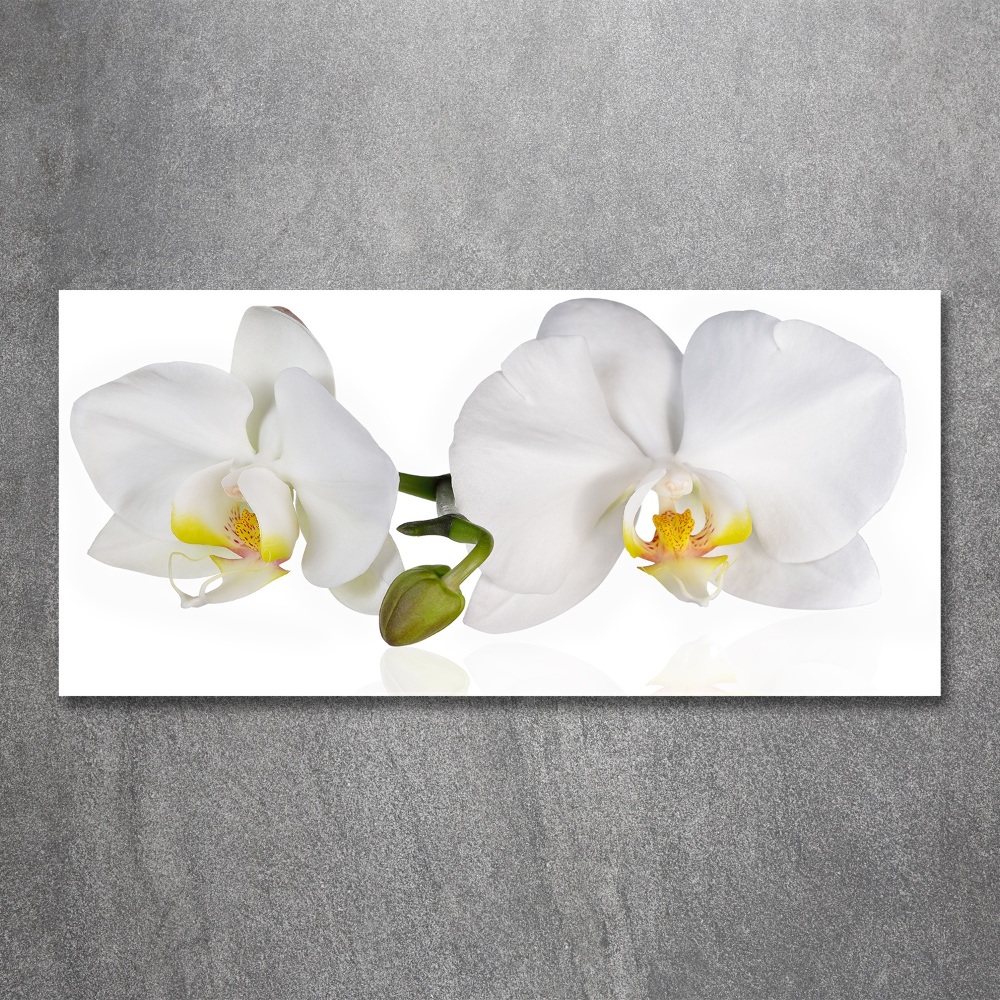 Acrylic wall art Orchid