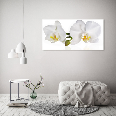 Acrylic wall art Orchid