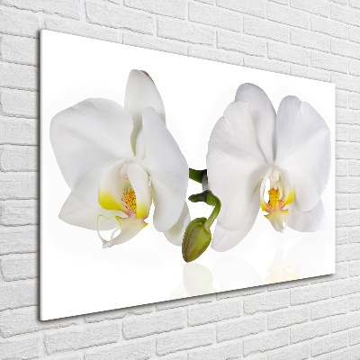 Acrylic wall art Orchid