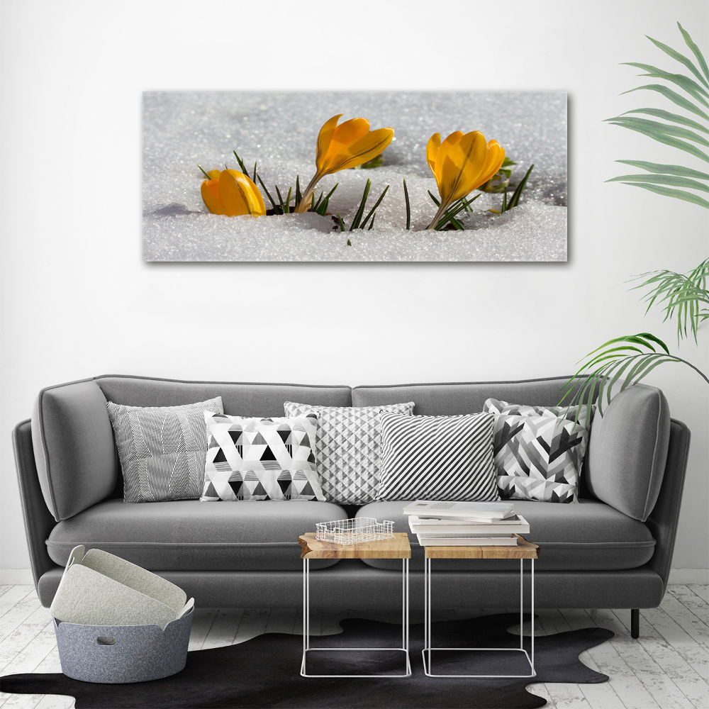 Acrylic wall art Crocuses in the snow