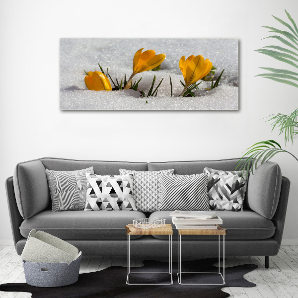 Acrylic wall art Crocuses in the snow