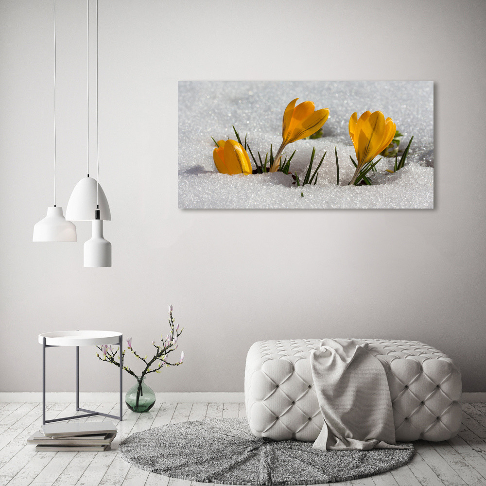 Acrylic wall art Crocuses in the snow