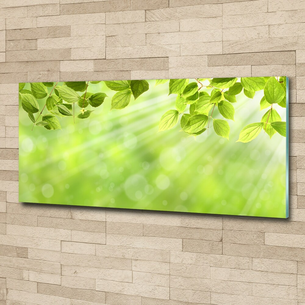 Wall art acrylic Leaves