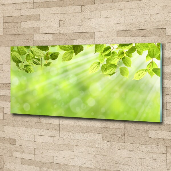 Wall art acrylic Leaves