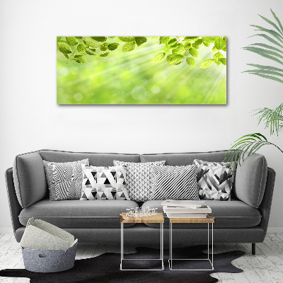 Wall art acrylic Leaves