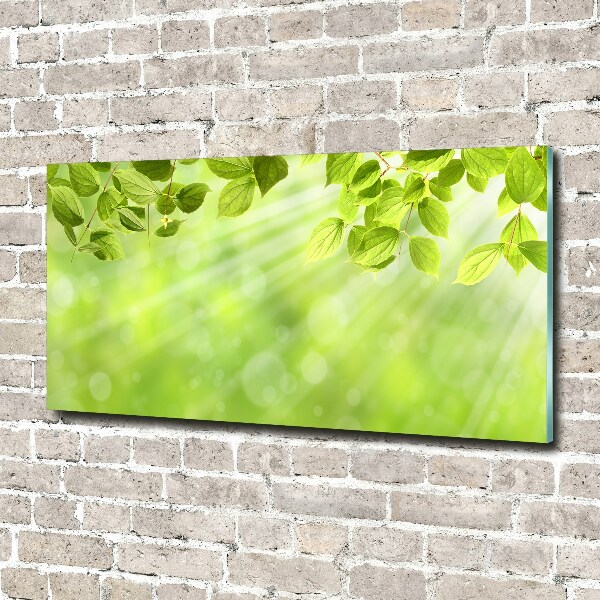 Wall art acrylic Leaves