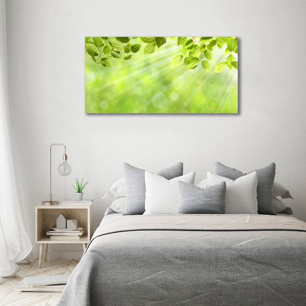 Wall art acrylic Leaves