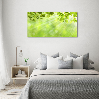 Wall art acrylic Leaves