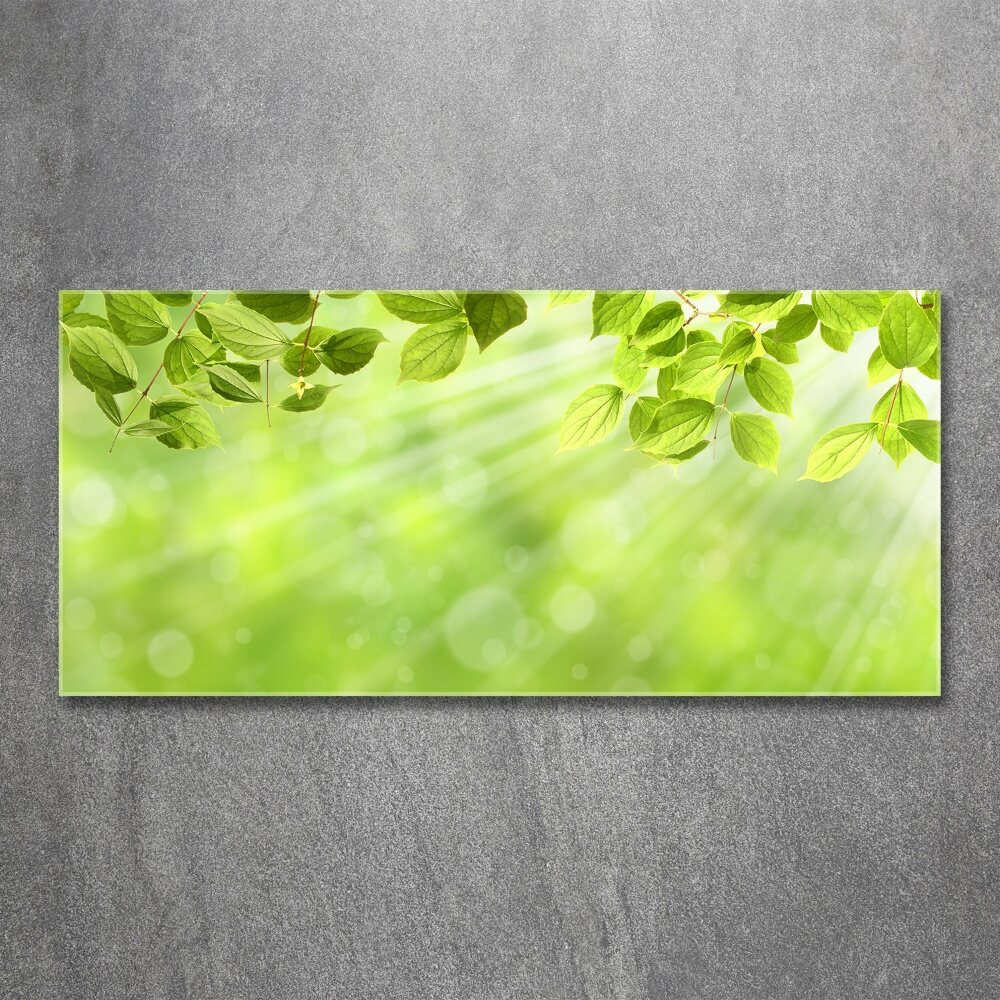 Wall art acrylic Leaves