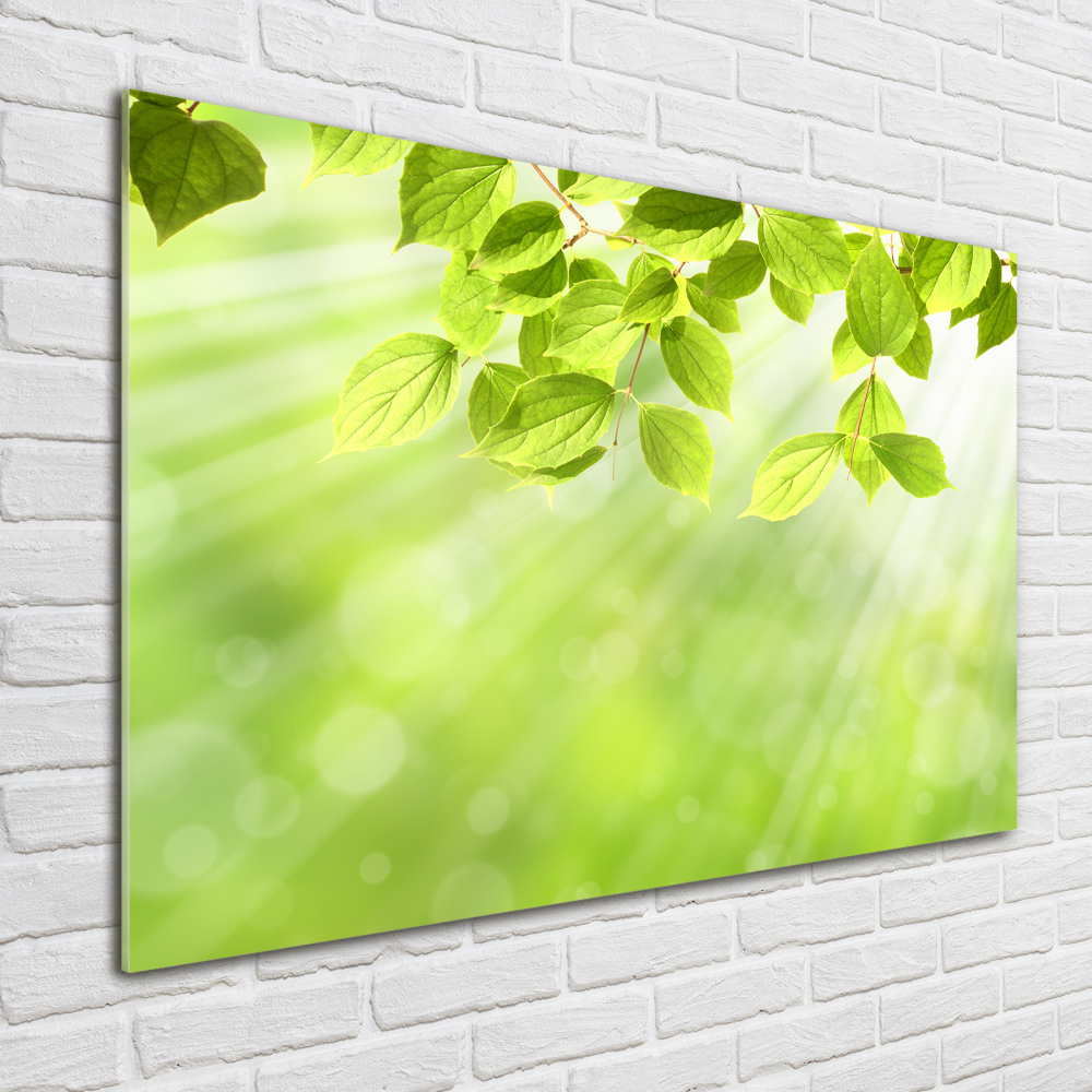 Wall art acrylic Leaves