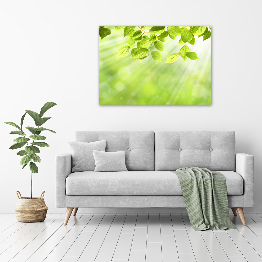 Wall art acrylic Leaves