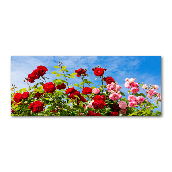 Wall art acrylic Wild roses