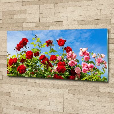 Wall art acrylic Wild roses