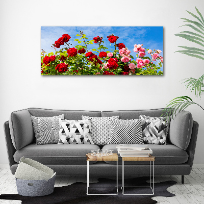 Wall art acrylic Wild roses