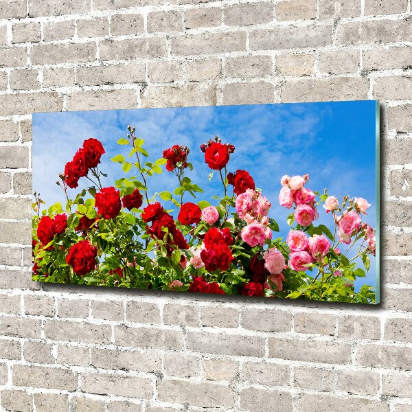 Wall art acrylic Wild roses