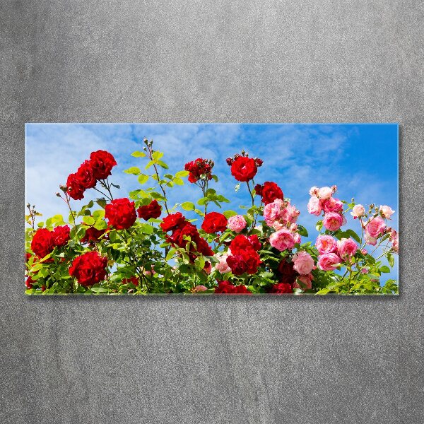 Wall art acrylic Wild roses