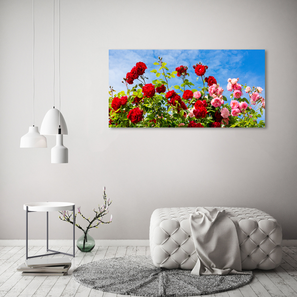 Wall art acrylic Wild roses