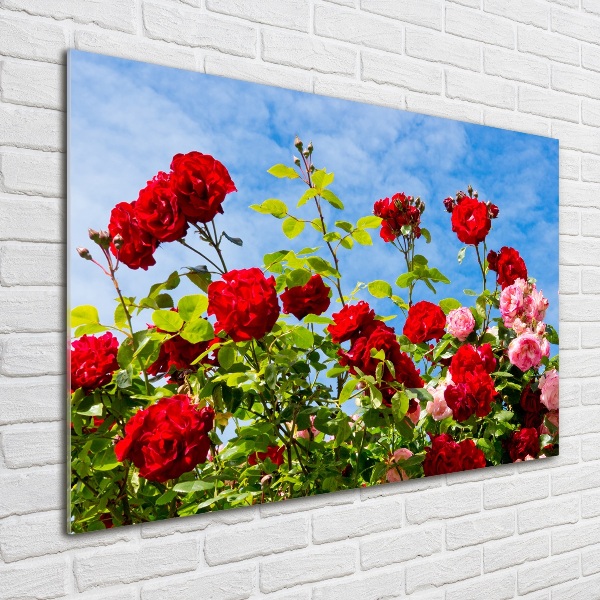 Wall art acrylic Wild roses