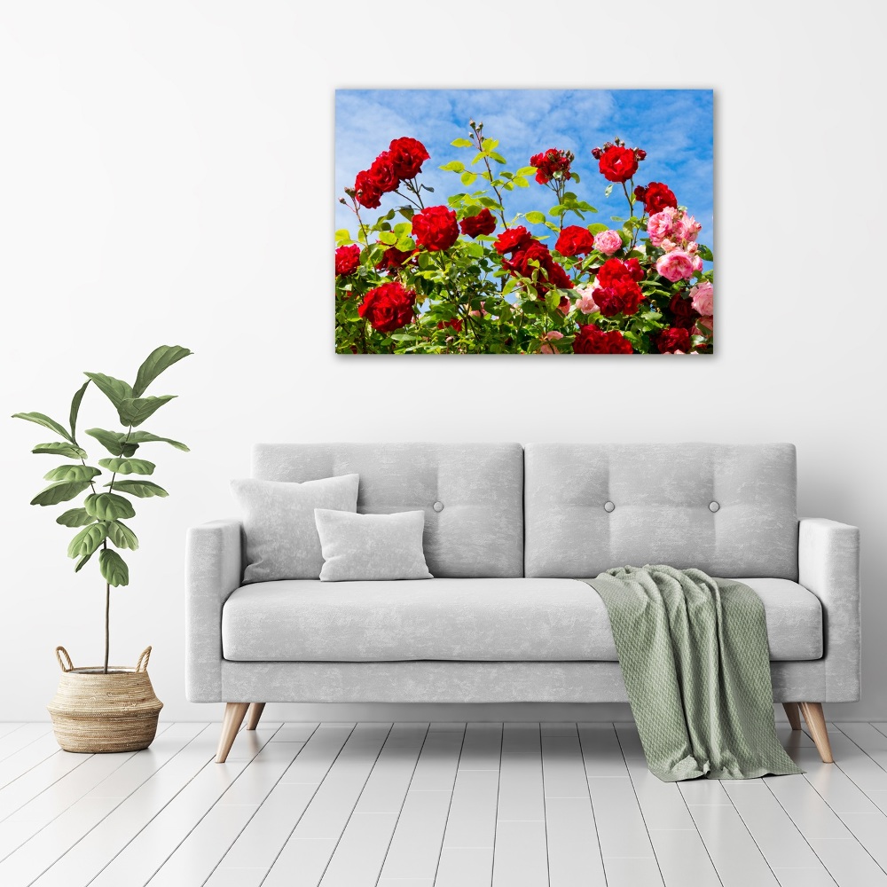 Wall art acrylic Wild roses