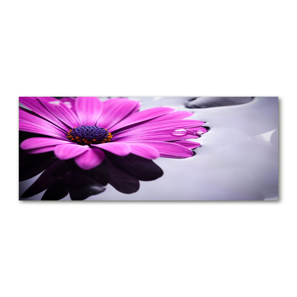 Acrylic wall art Gerber