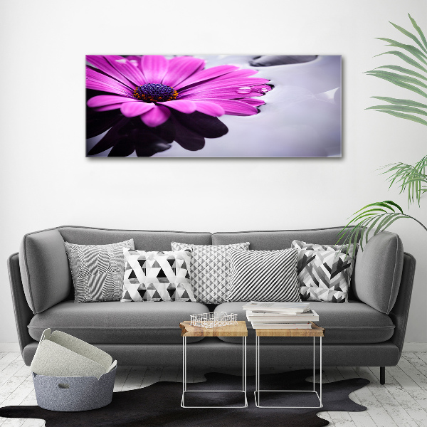 Acrylic wall art Gerber