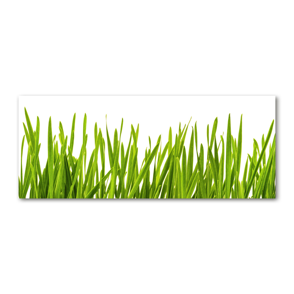 Print on acrylic Grass