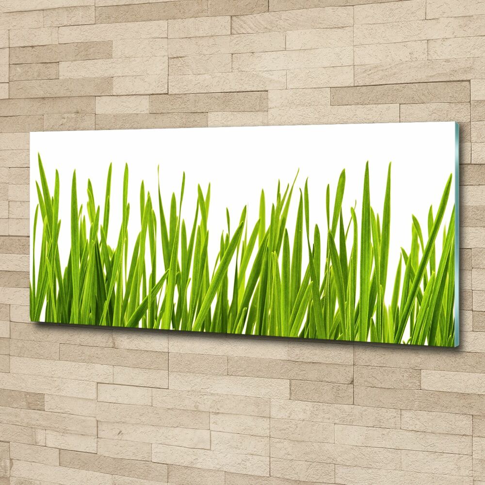 Print on acrylic Grass