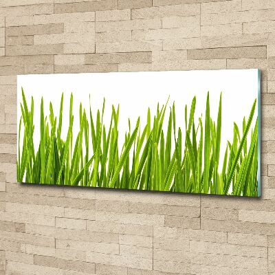 Print on acrylic Grass