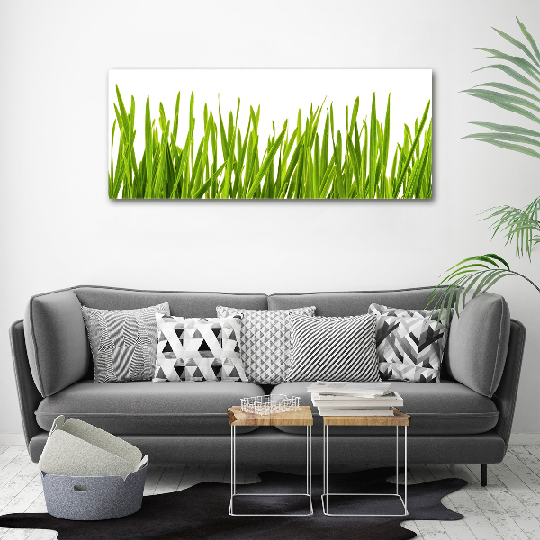 Print on acrylic Grass