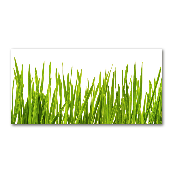 Print on acrylic Grass