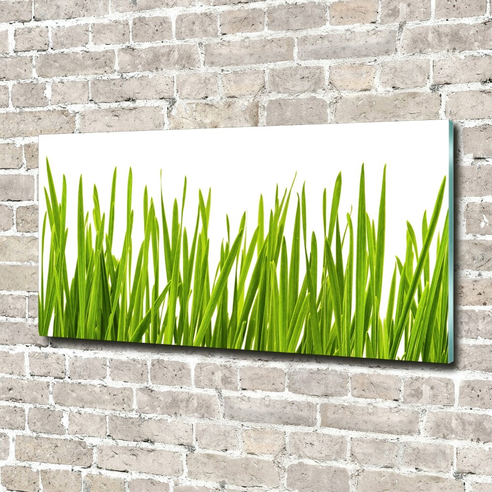 Print on acrylic Grass