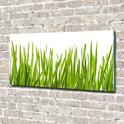 Print on acrylic Grass