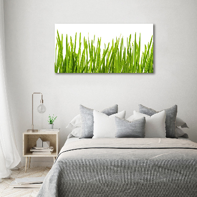 Print on acrylic Grass