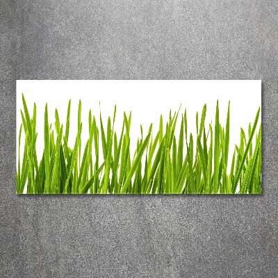 Print on acrylic Grass