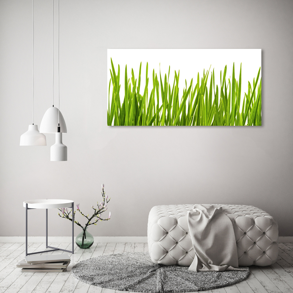 Print on acrylic Grass