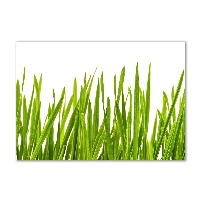 Print on acrylic Grass