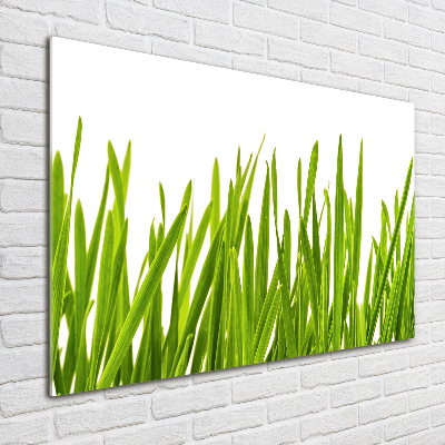 Print on acrylic Grass