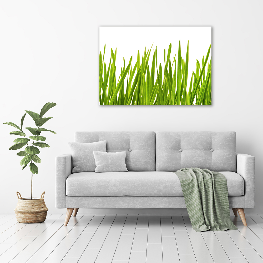 Print on acrylic Grass