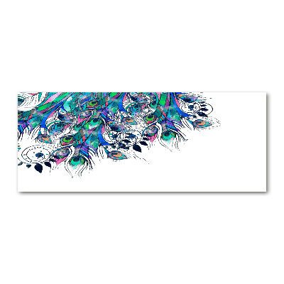 Acrylic wall art Peacock feathers