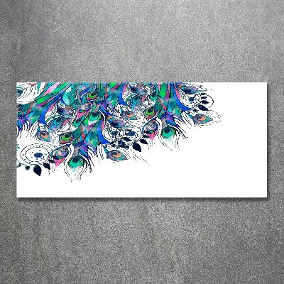 Acrylic wall art Peacock feathers