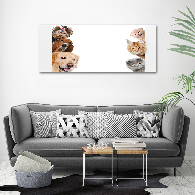 Acrylic wall art Dogs and cats